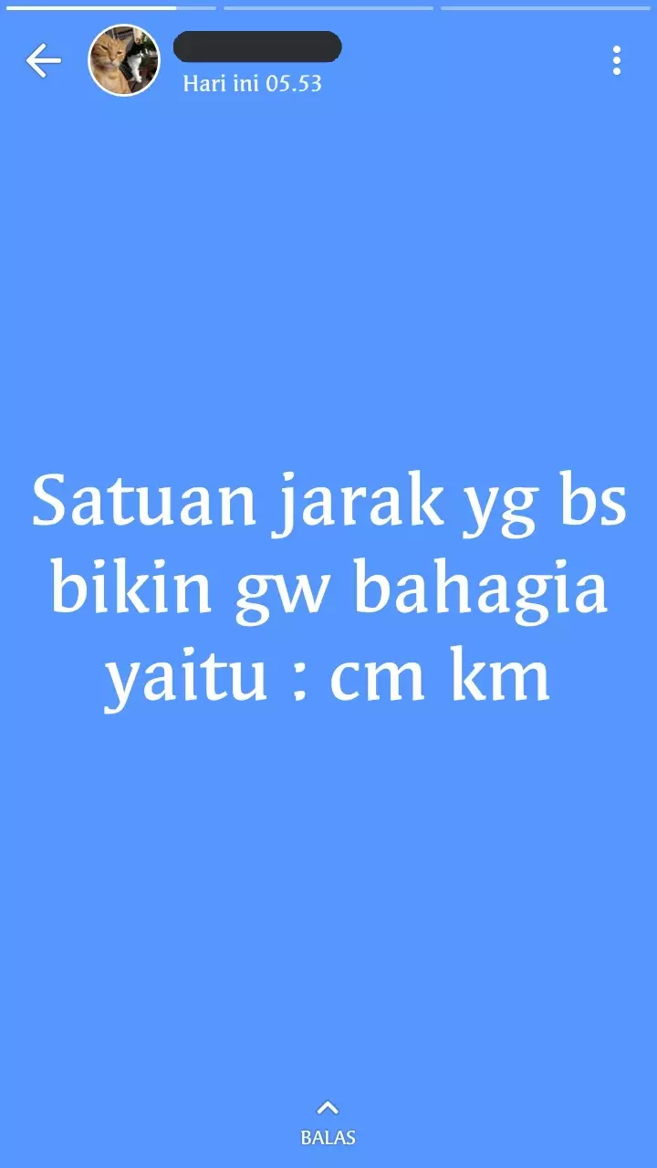 Status soal cinta di WA © Twitter