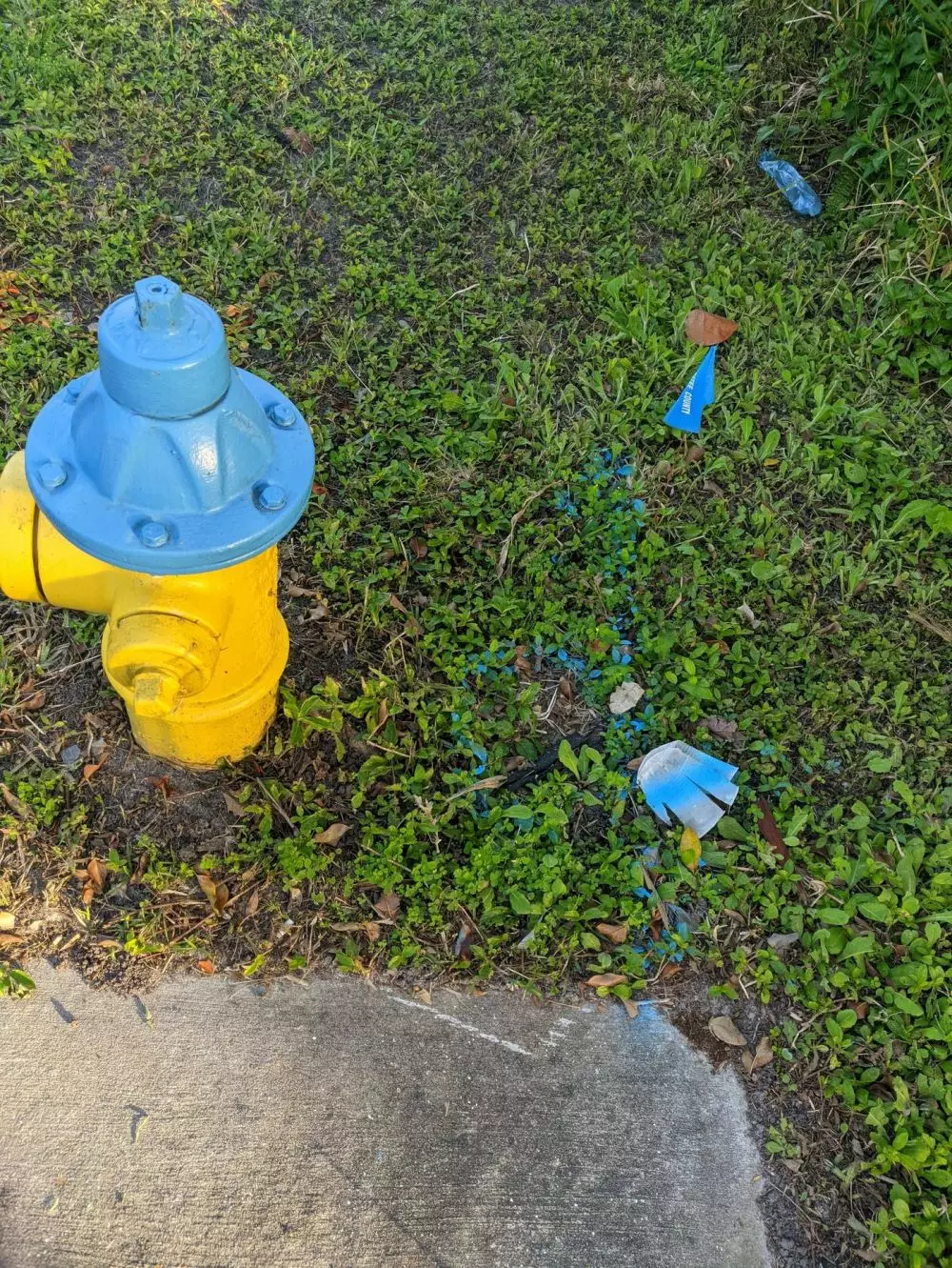 momen nggak niat ngecat © Berbagai Sumber momen nggak niat ngecat © Berbagai Sumber