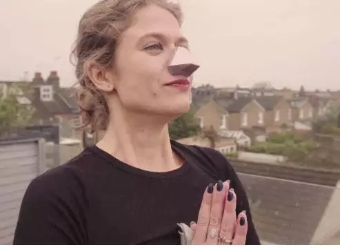 filter udara bentuk anjing istimewa