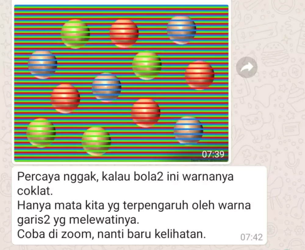 chat broadcast di WAG © berbagai sumber chat broadcast di WAG © berbagai sumber