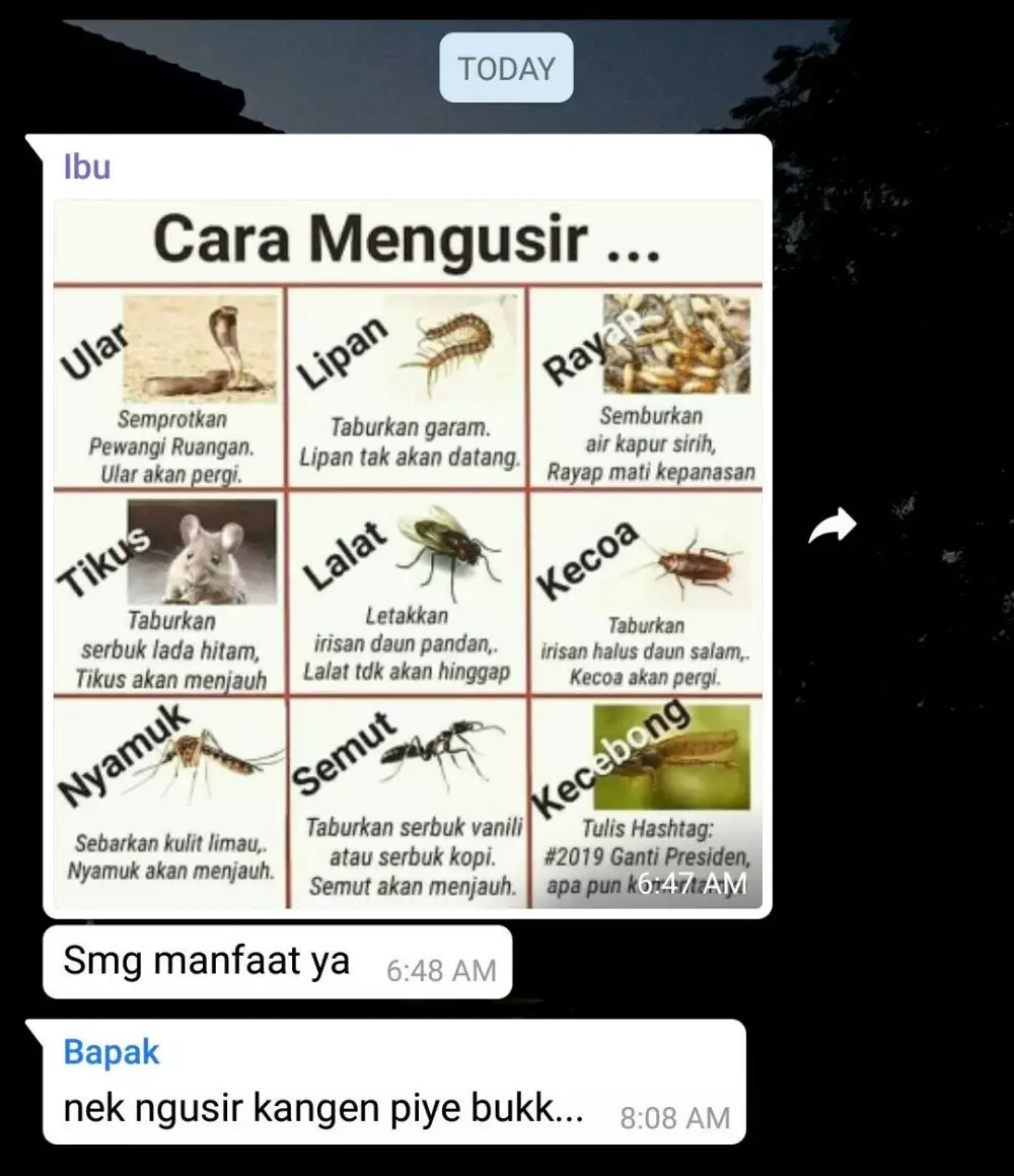 chat broadcast di WAG © berbagai sumber chat broadcast di WAG © berbagai sumber