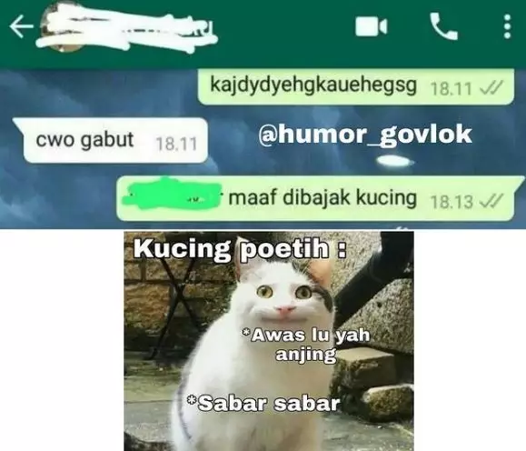 10 Chat klise pacaran istimewa