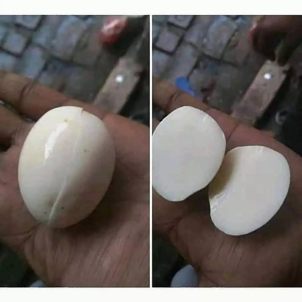 aksi nyeleneh masak telur © Instagram