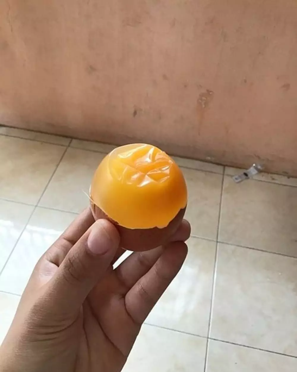 aksi nyeleneh masak telur © Instagram