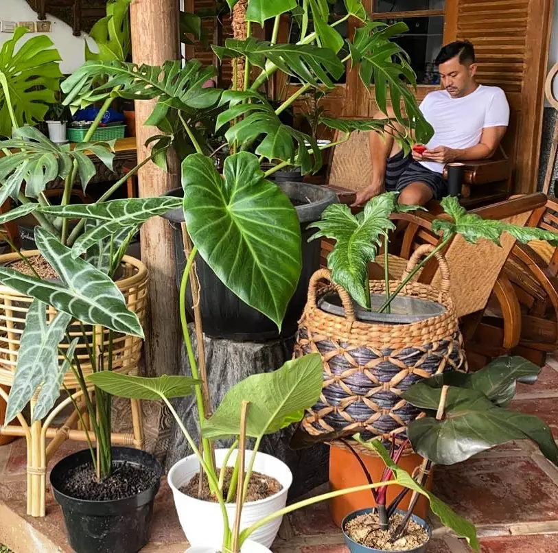 halaman rumah Anjasmara © Instagram