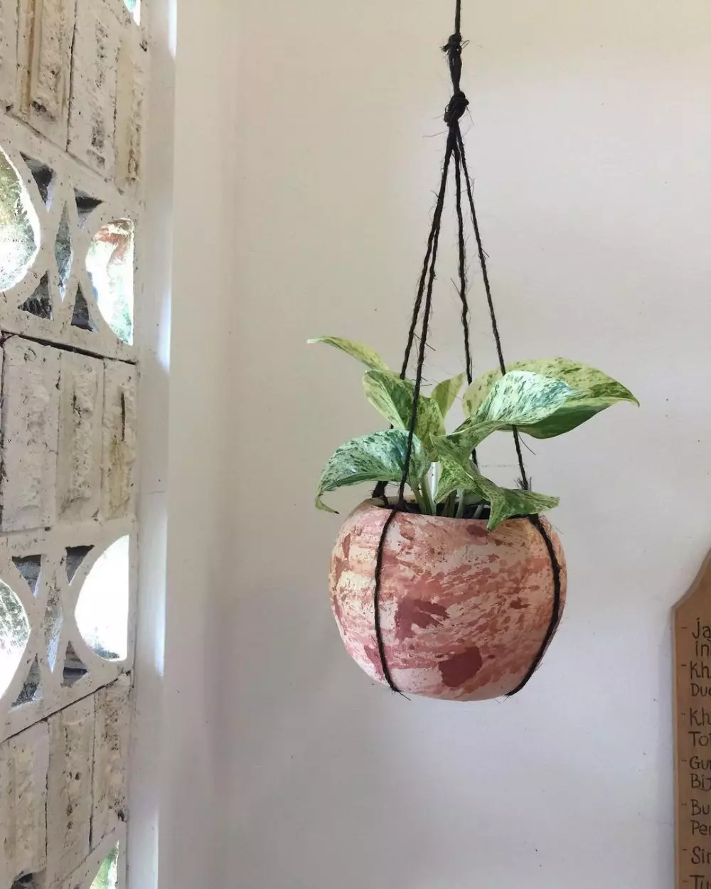 Tips cara menanam tanaman hias gantung Instagram ; freepik © 2021 brilio.net