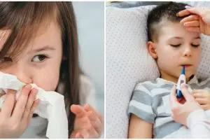 Tanaman obat flu untuk anak, ampuh atasi peradangan dan aman