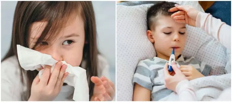 Tanaman obat flu untuk anak, ampuh atasi peradangan dan aman