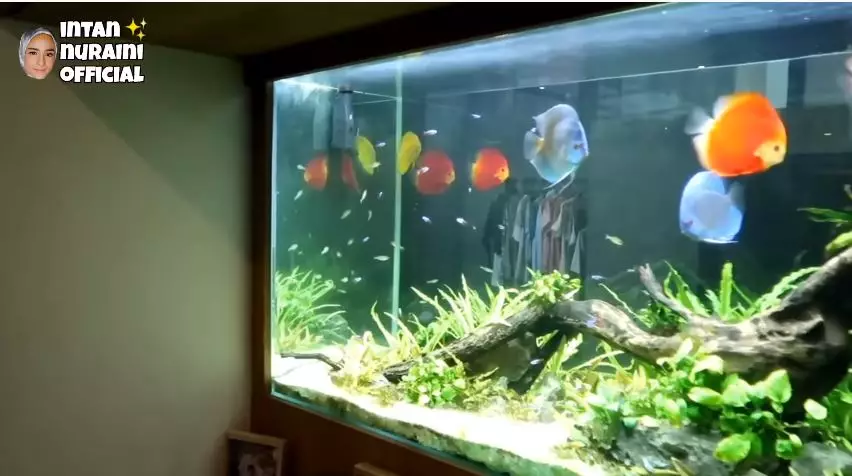 rumah baru intan nuraini © YouTube rumah baru intan nuraini © YouTube