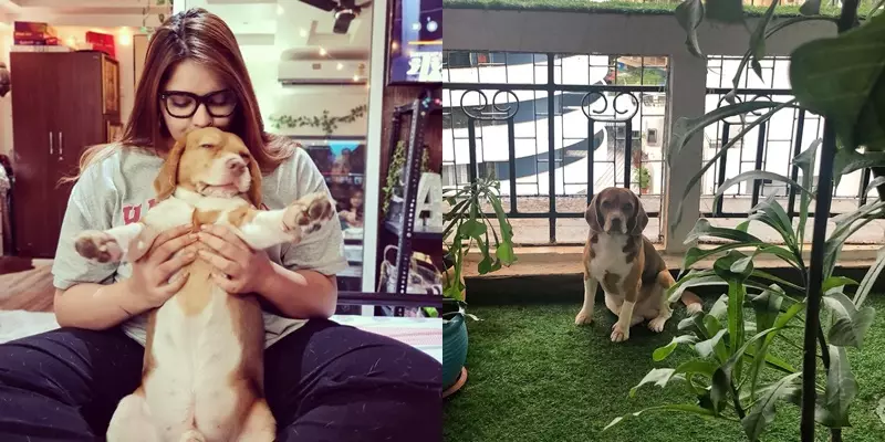 rumah pemain Kulfi ©Instagram