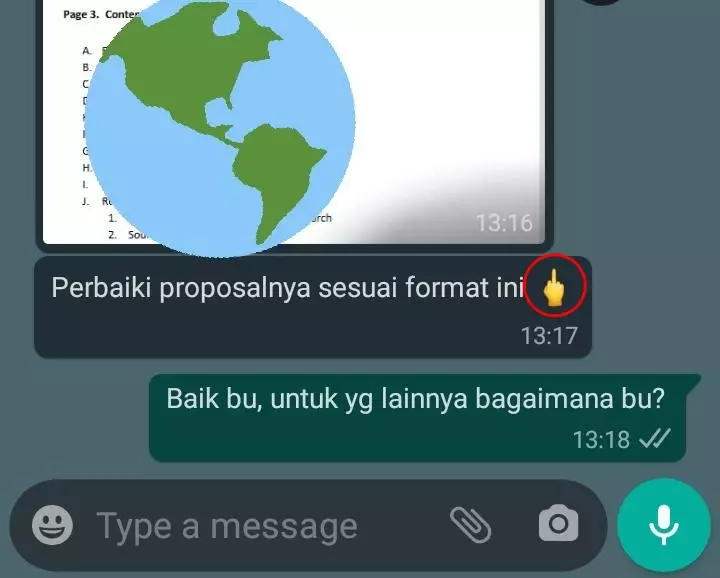 Balasan chat bimbingan skripsi © berbagai sumber