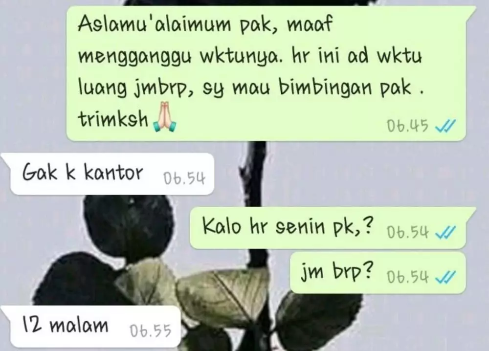 Balasan chat bimbingan skripsi © berbagai sumber