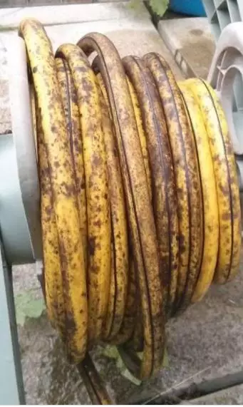 benda mirip makanan bikin zonk Berbagai sumber