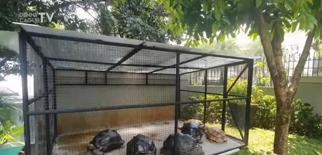 perabotan rumah baru Atta © 2021 brilio.net