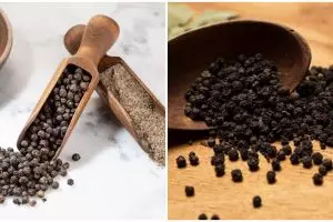 Cara menanam lada buat pemula, solusi untuk lahan sempit