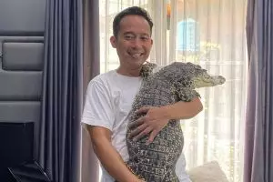 7 Momen Denny Cagur main dengan buaya di rumah, jadi sorotan