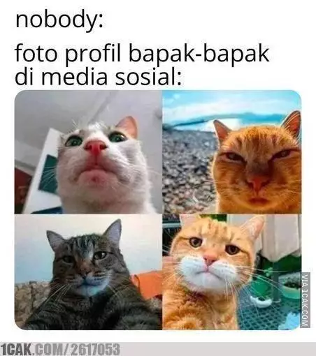 meme sindir bapak main hp Berbagai sumber meme sindir bapak main hp Berbagai sumber