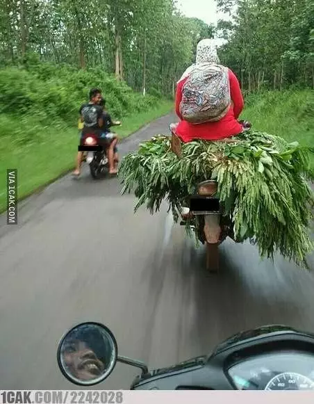 momen absurd pas boncengan Berbagai sumber momen absurd pas boncengan Berbagai sumber