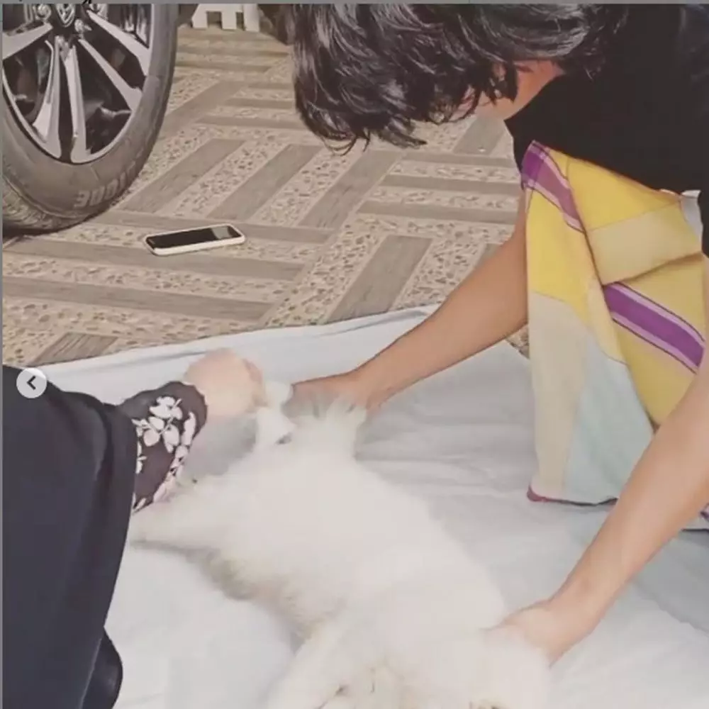 Momen Umi Pipik kuburkan kucing © 2021 brilio.net