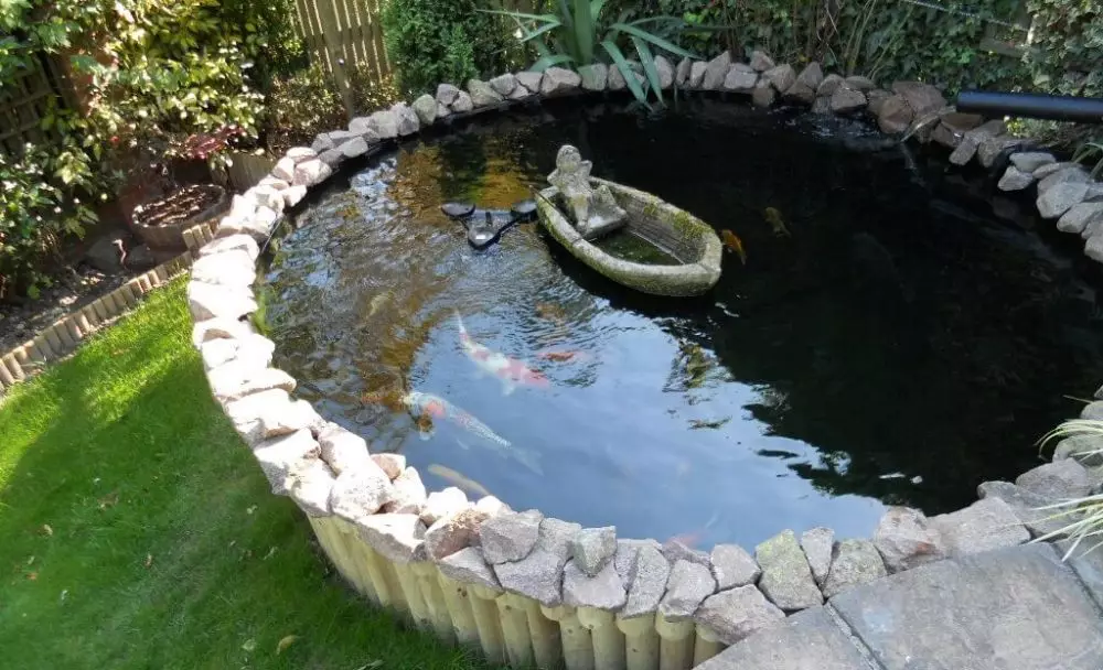 3 Tips merawat kolam ikan hias  © 2021 brilio.net