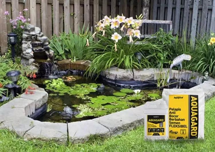 3 Tips merawat kolam ikan hias  © 2021 brilio.net