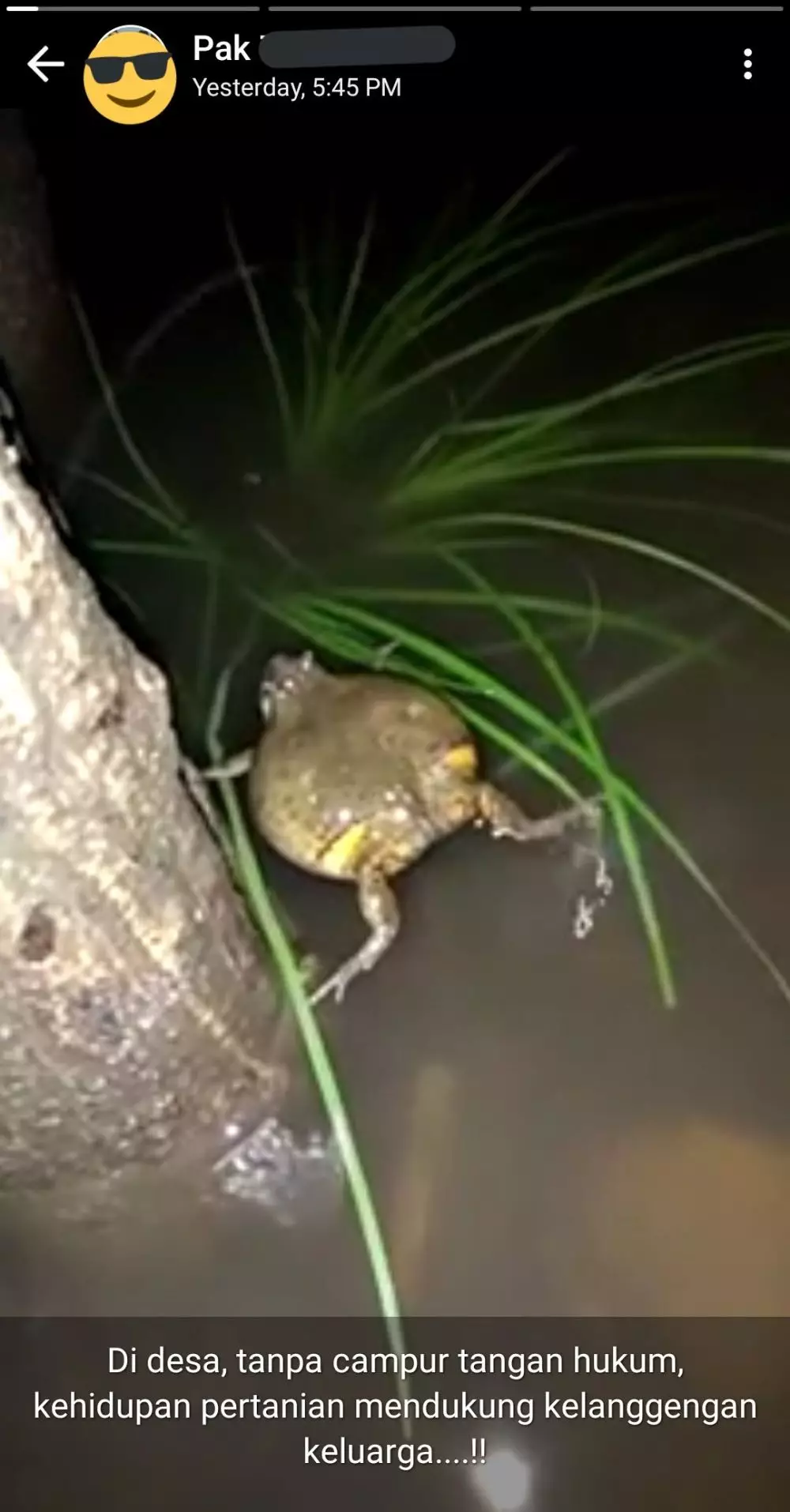 caption status WA © berbagai sumber