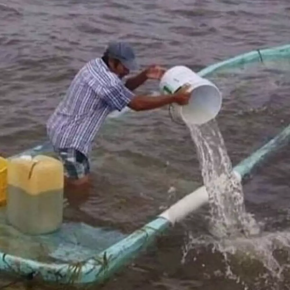 kurang kerjaan © Berbagai Sumber kurang kerjaan © Berbagai Sumber