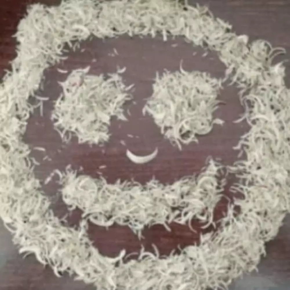 kurang kerjaan © Berbagai Sumber kurang kerjaan © Berbagai Sumber