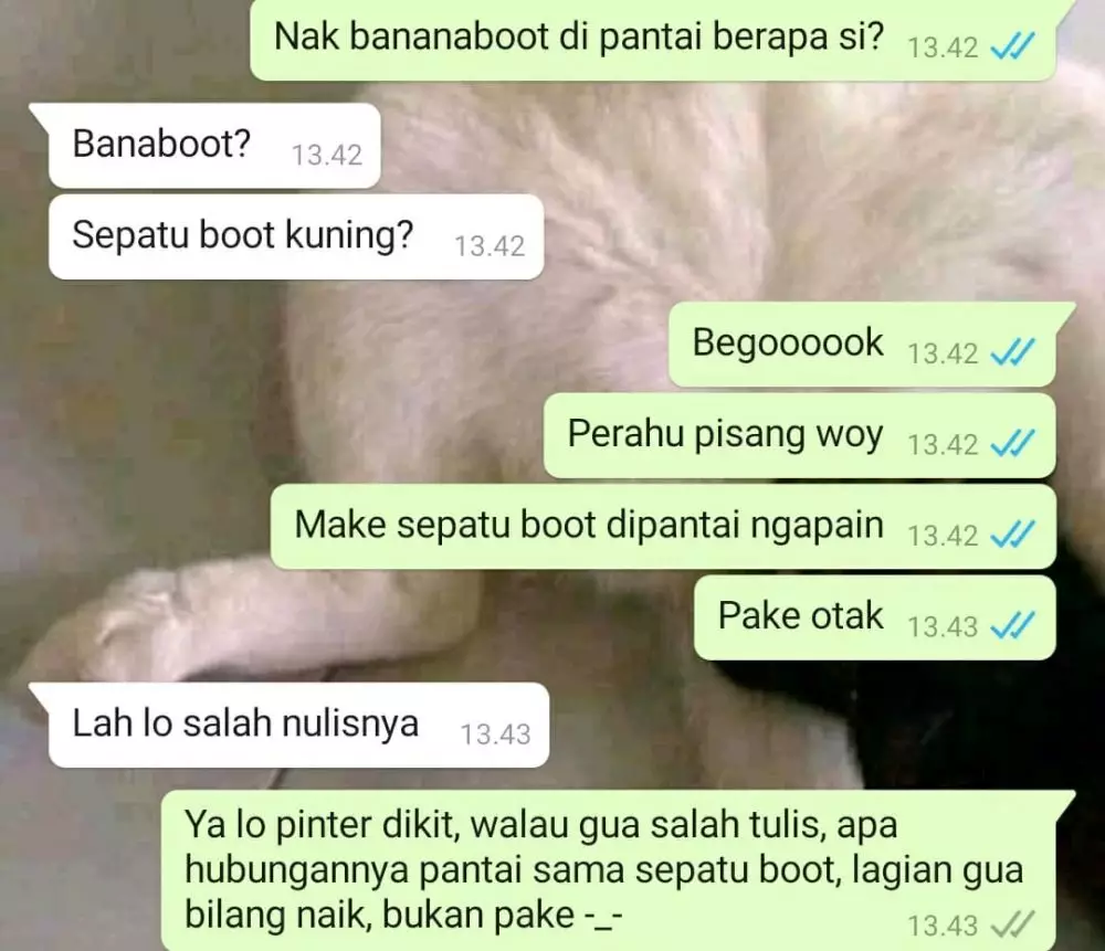 chat bahasa asing salah tapi ngotot Berbagai sumber