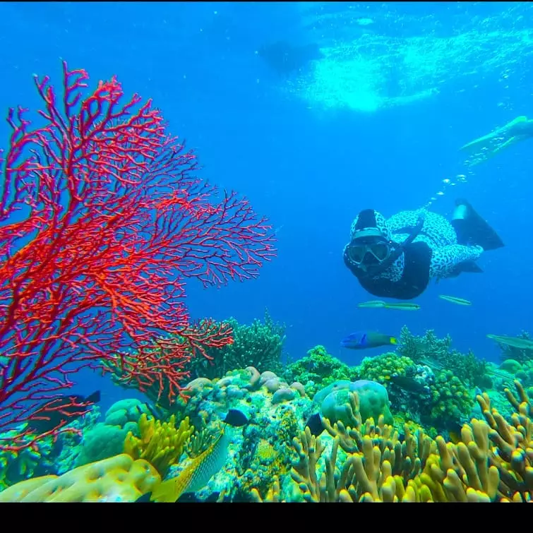 Berkeliling pulau dengan kapan phinisi © 2021 brilio.net Berkeliling pulau dengan kapan phinisi © 2021 brilio.net