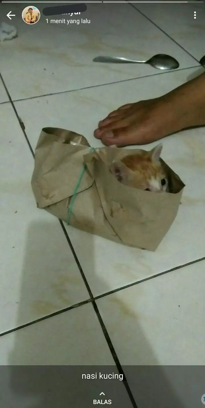 netizen pamer makanan di WA © berbagai sumber