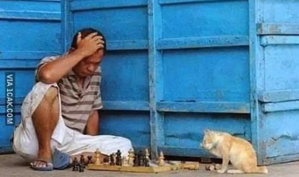 Potret orang main catur © berbagai sumber