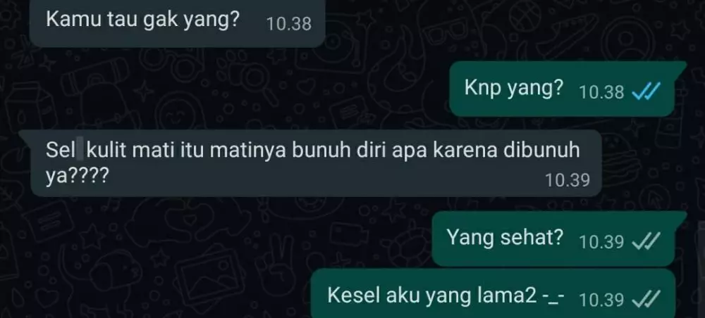 chat tebak-tebakan nyeleneh Berbagai sumber