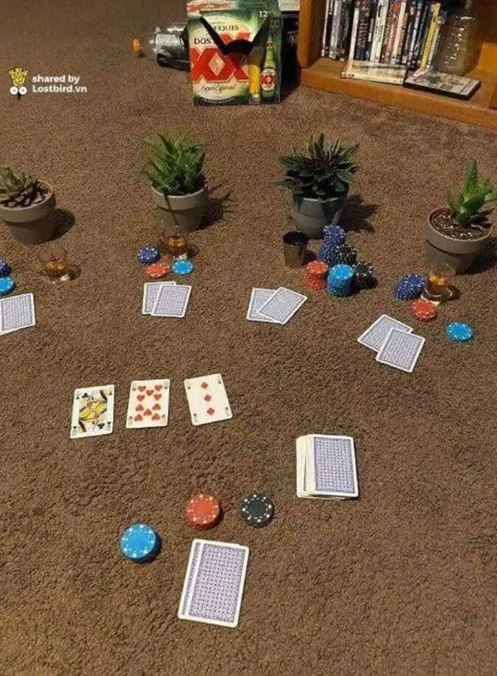 momen main kartu © Berbagai Sumber 