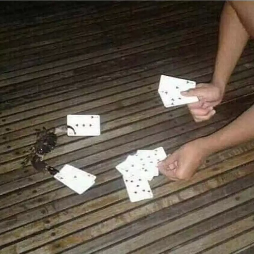 momen main kartu © Berbagai Sumber 