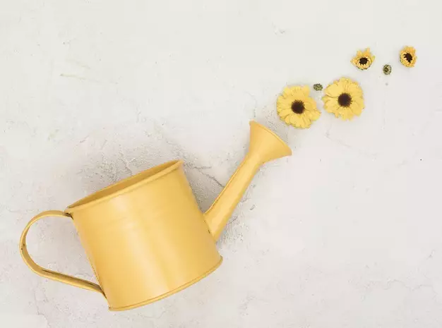 merawat keladi merah baret Instagram ; freepik © 2021 brilio.net merawat keladi merah baret Instagram ; freepik © 2021 brilio.net