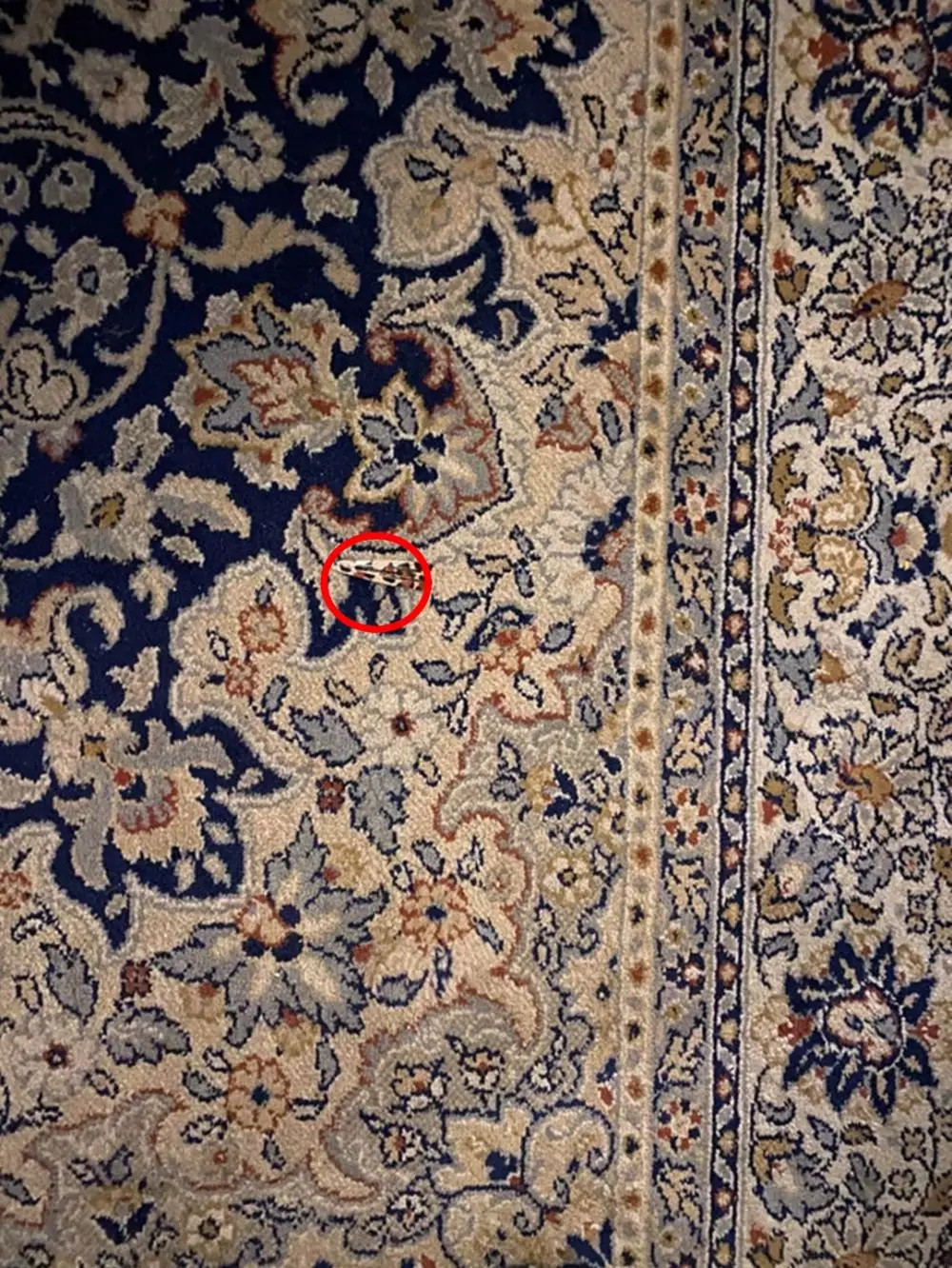 benda tersamar mata kedip © Reddit