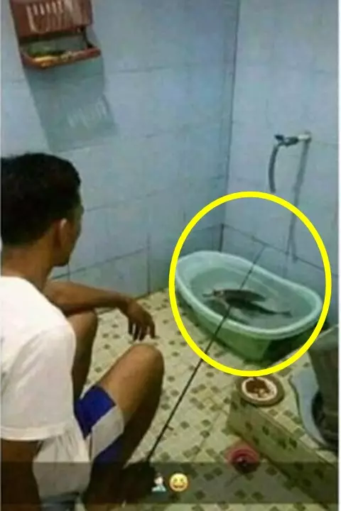 bak mandi antimainstream © Berbagai Sumber