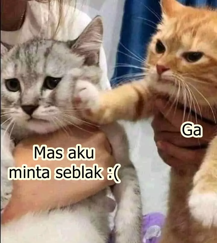 meme minta seblak © Berbagai Sumber