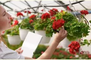 Tips memilih pot gantung tanaman hias, percantik teras rumah