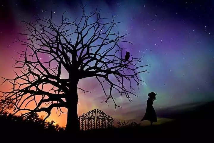 cara kembangkan imajinasi dan kreativitas anak © 2021 brilio.net cara kembangkan imajinasi dan kreativitas anak © 2021 brilio.net