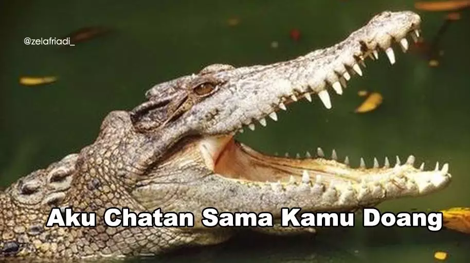 Plesetan bahasa buaya Instagram