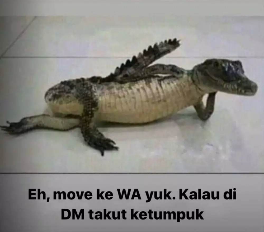 Plesetan bahasa buaya Instagram