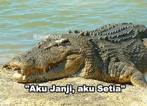 Plesetan bahasa buaya Instagram