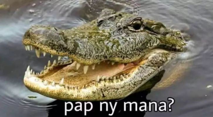 Plesetan bahasa buaya Instagram