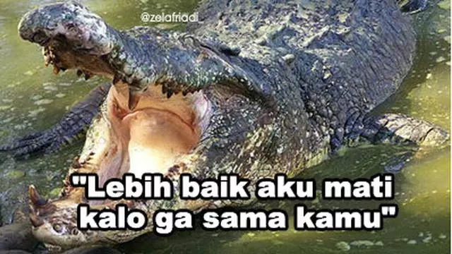 Plesetan bahasa buaya Instagram