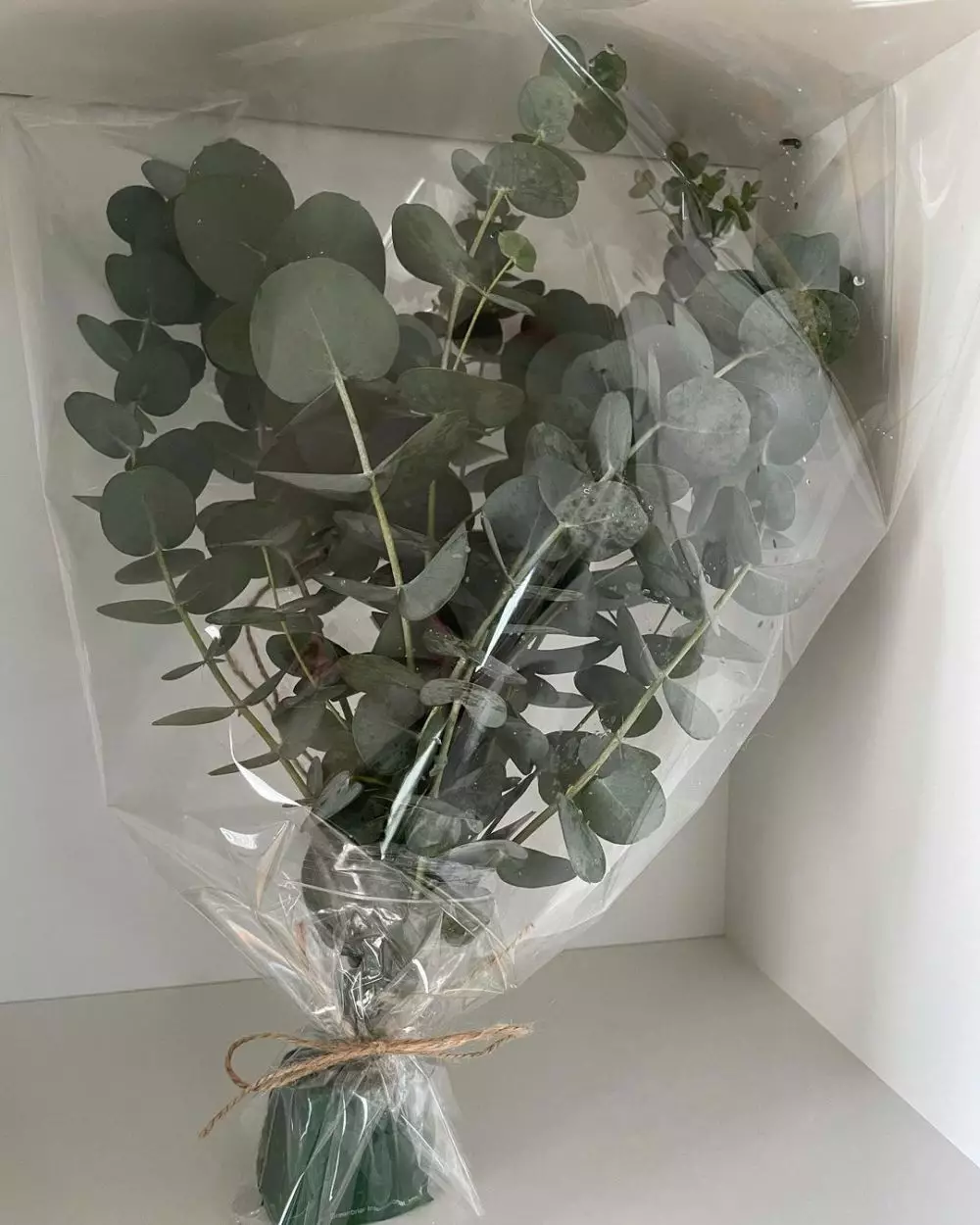 Tanaman obat untuk penyakit asam urat dan rematik © 2021 brilio.net Tanaman obat untuk penyakit asam urat dan rematik © 2021 brilio.net