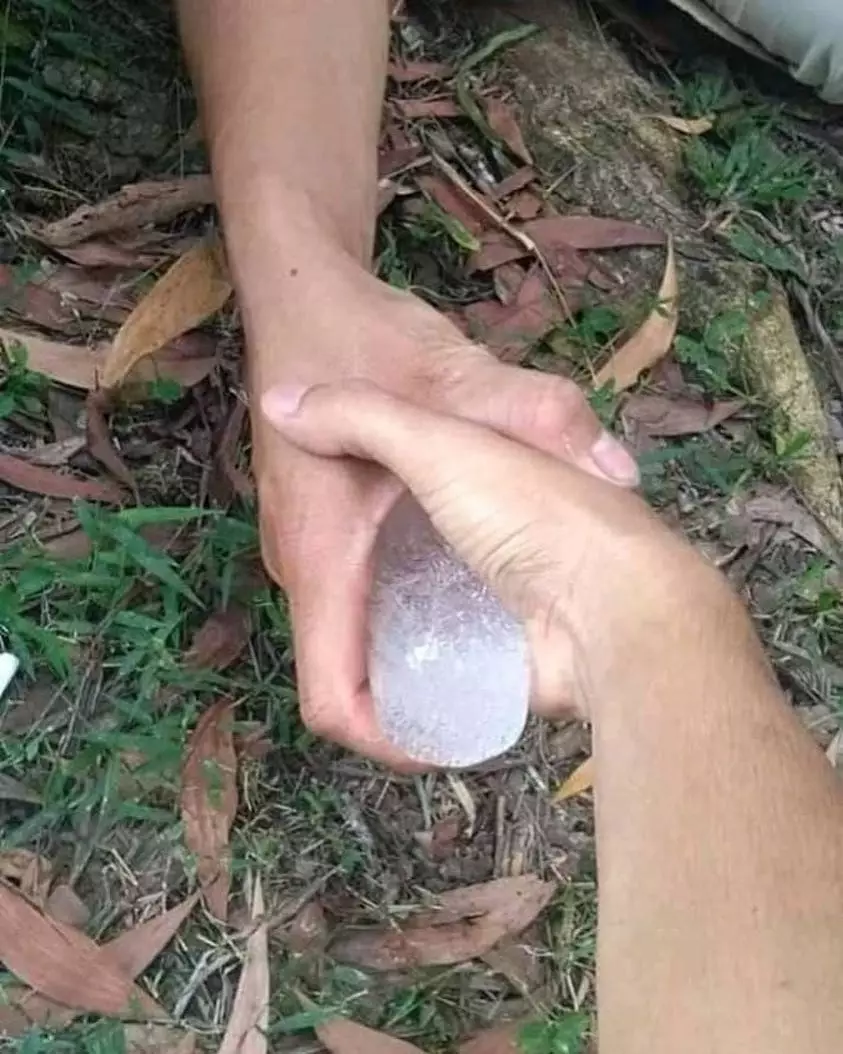 foto yang bisa dirasakan © Instagram