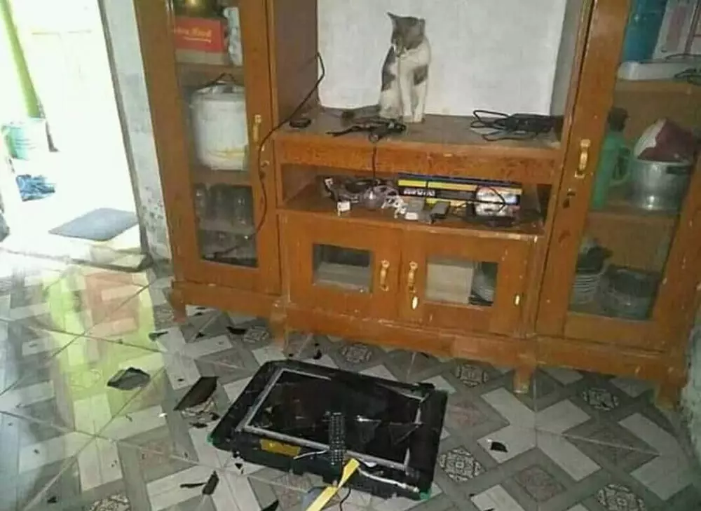 foto yang bisa dirasakan © Instagram