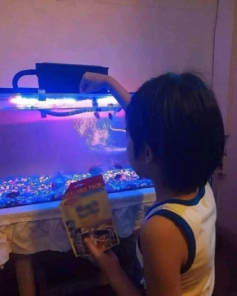 kasih makan hewan © Berbagai Sumber